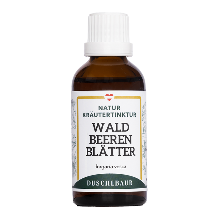 Waldbeerblätter Tinktur - fragaria vesca