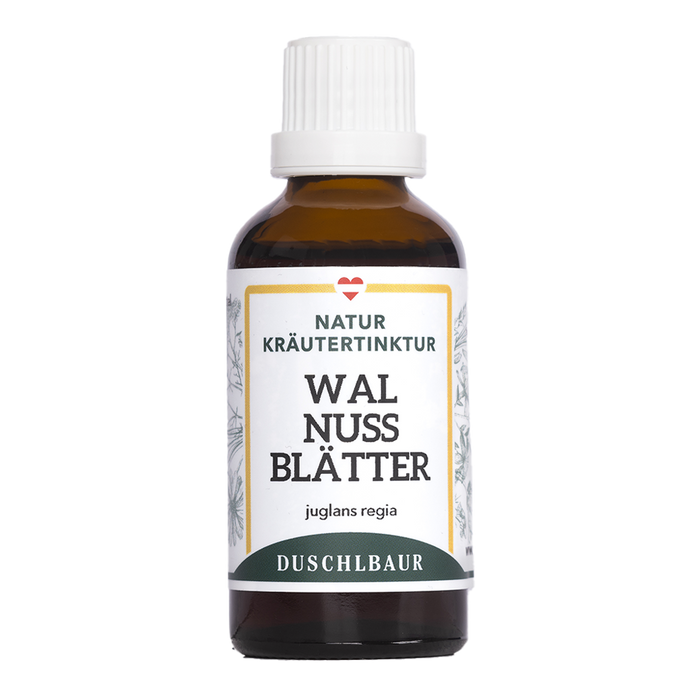 Walnuss echt Tinktur - juglans regia
