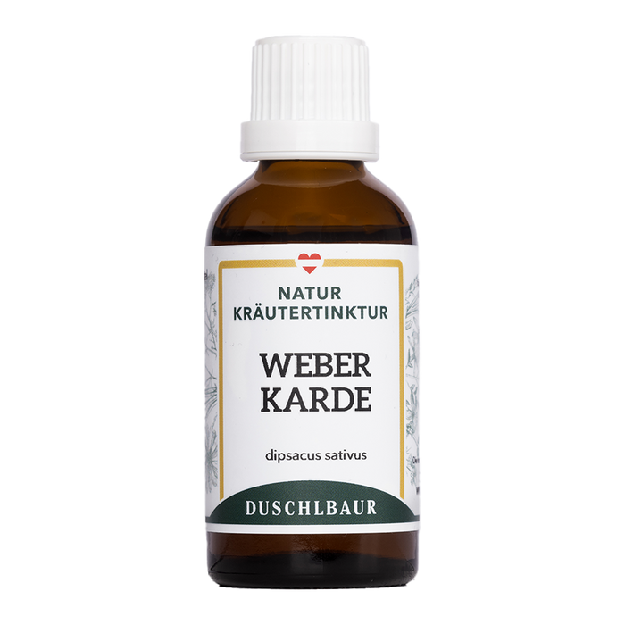 Weberkarde Tinktur - dipsacus sativus