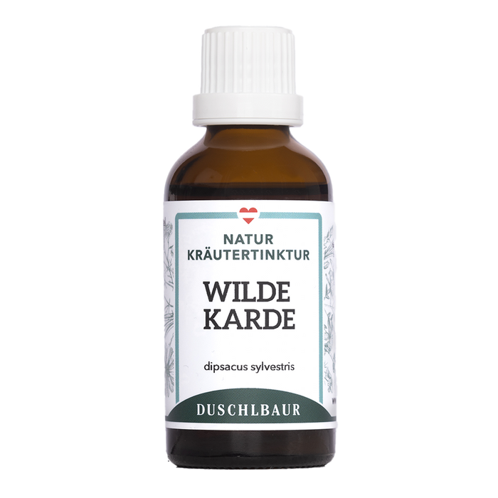 Wilde Karde Tinktur (Kardenwurzel)