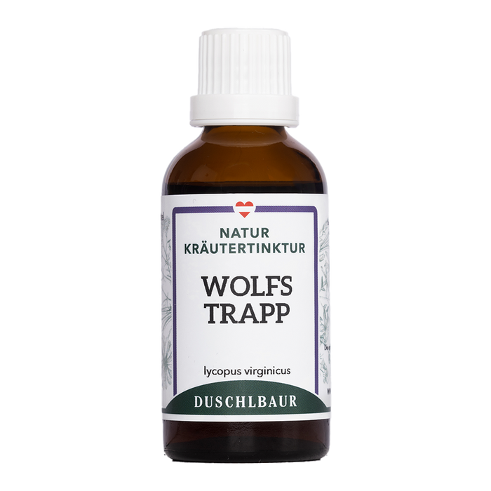Wolfstrapp Tinktur - iycopus virginicus