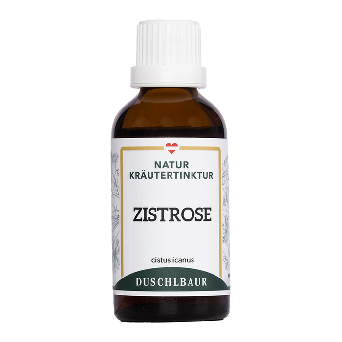 Zistrose Tinktur - cistus icanus