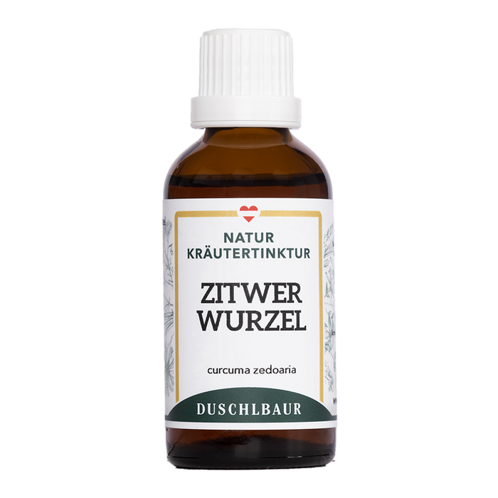 Zitwerwurzel Tinktur - curcuma zedoaria