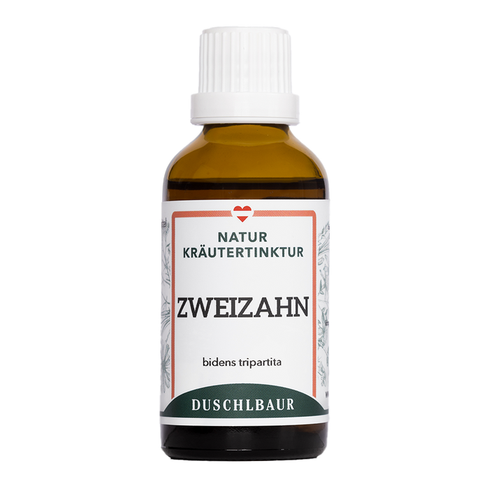 Zweizahn Tinktur - bidens tripartita