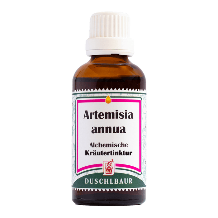 artemisia annua tinktur auszug