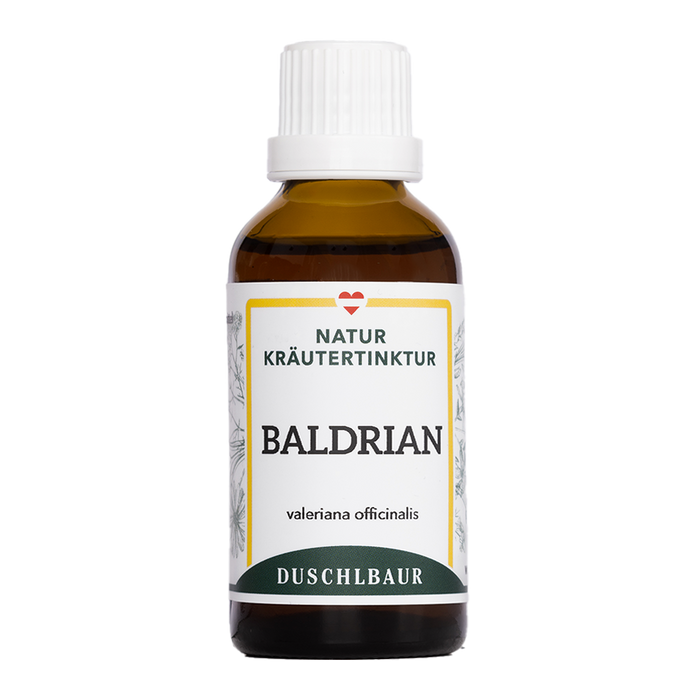 Blühender Echter Baldrian und getrocknete Baldrianwurzel neben einer Flasche Baldrian Tinktur