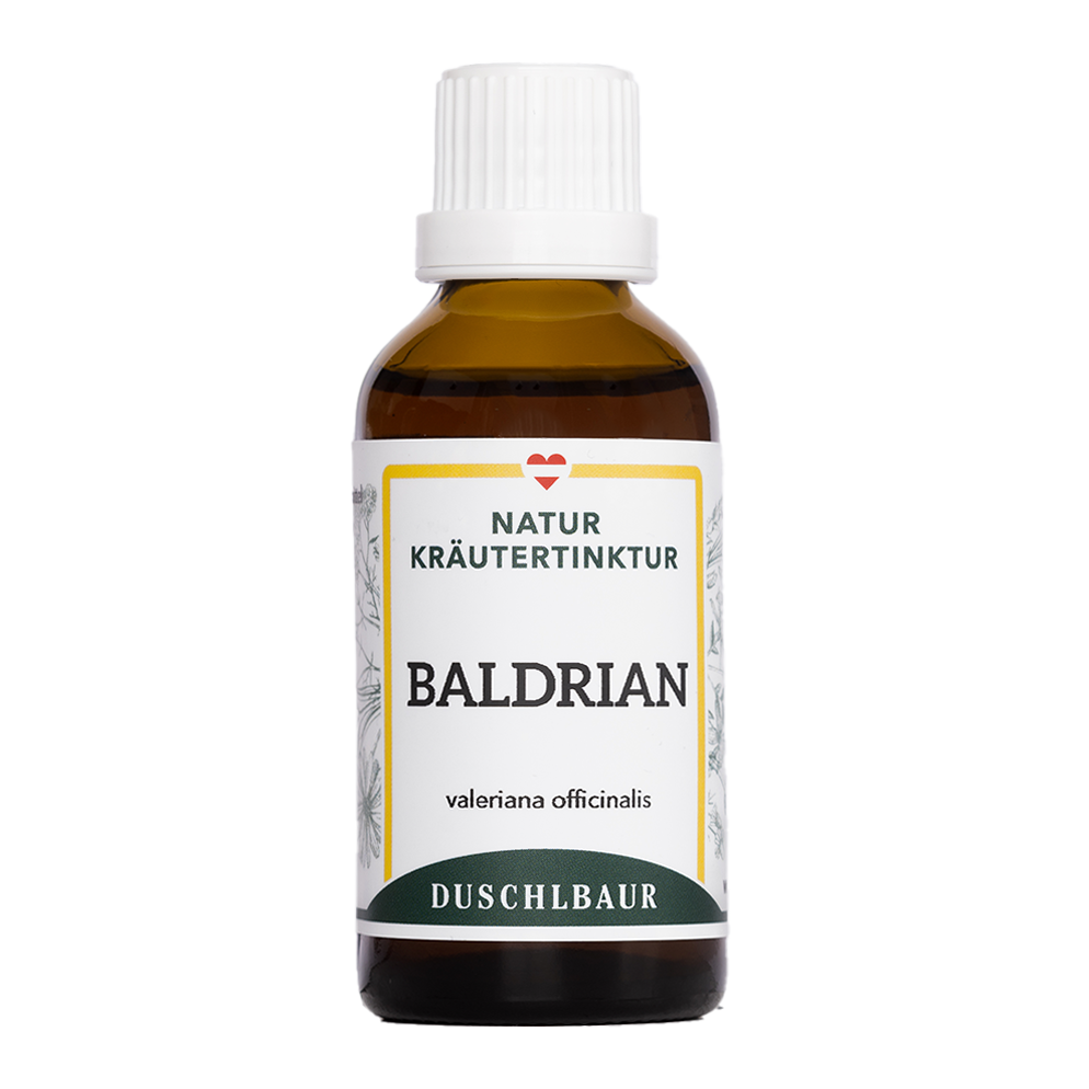 Blühender Echter Baldrian und getrocknete Baldrianwurzel neben einer Flasche Baldrian Tinktur