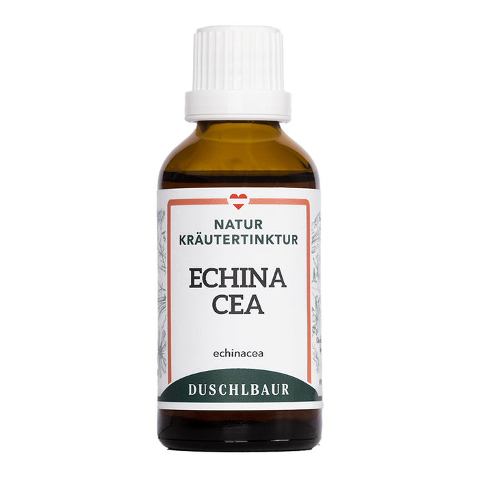 Echinacea, Holunderblüten und Thymian als Kräuter für die kalte Jahreszeit, daneben eine Tinkturflasche von Kräutertinkturen Duschlbaur