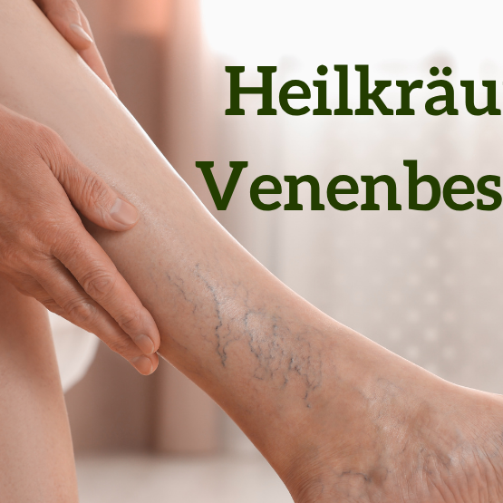Heilpflanzen für Venen - Heilkräuter gegen Venenbeschwerden und Krampfadern