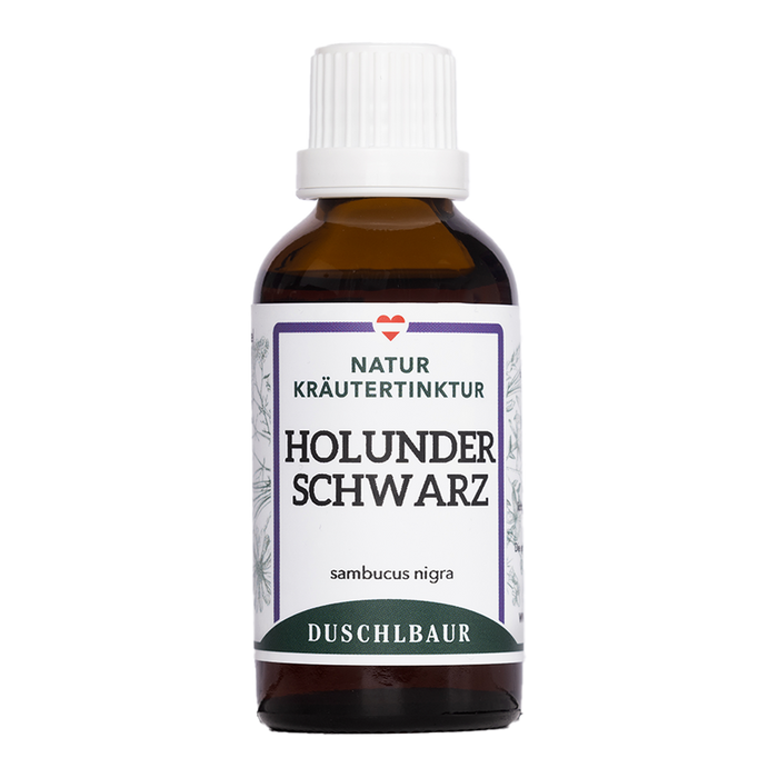 Blühender Schwarzer Holunder mit weißen Blütendolden und eine Flasche Holunder schwarz Tinktur von Kräutertinkturen Duschlbaur