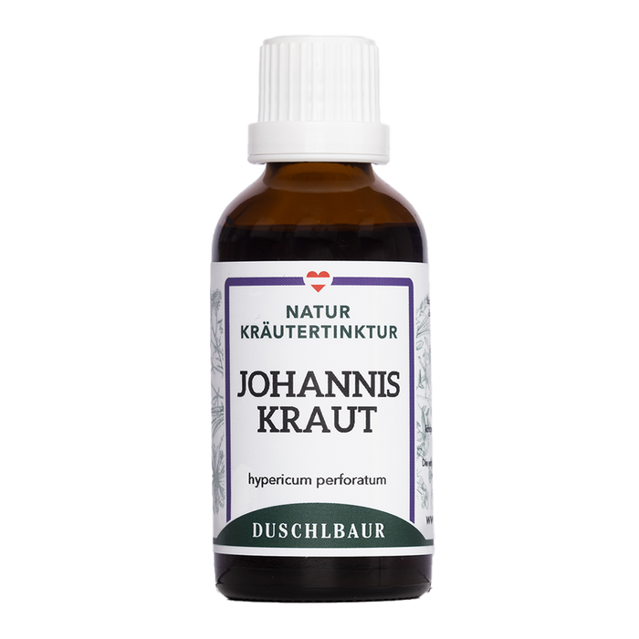 Blühendes Johanniskraut (Hypericum perforatum) mit gelben Blüten auf einer sonnigen Wiese neben einer Flasche Johanniskraut Tinktur