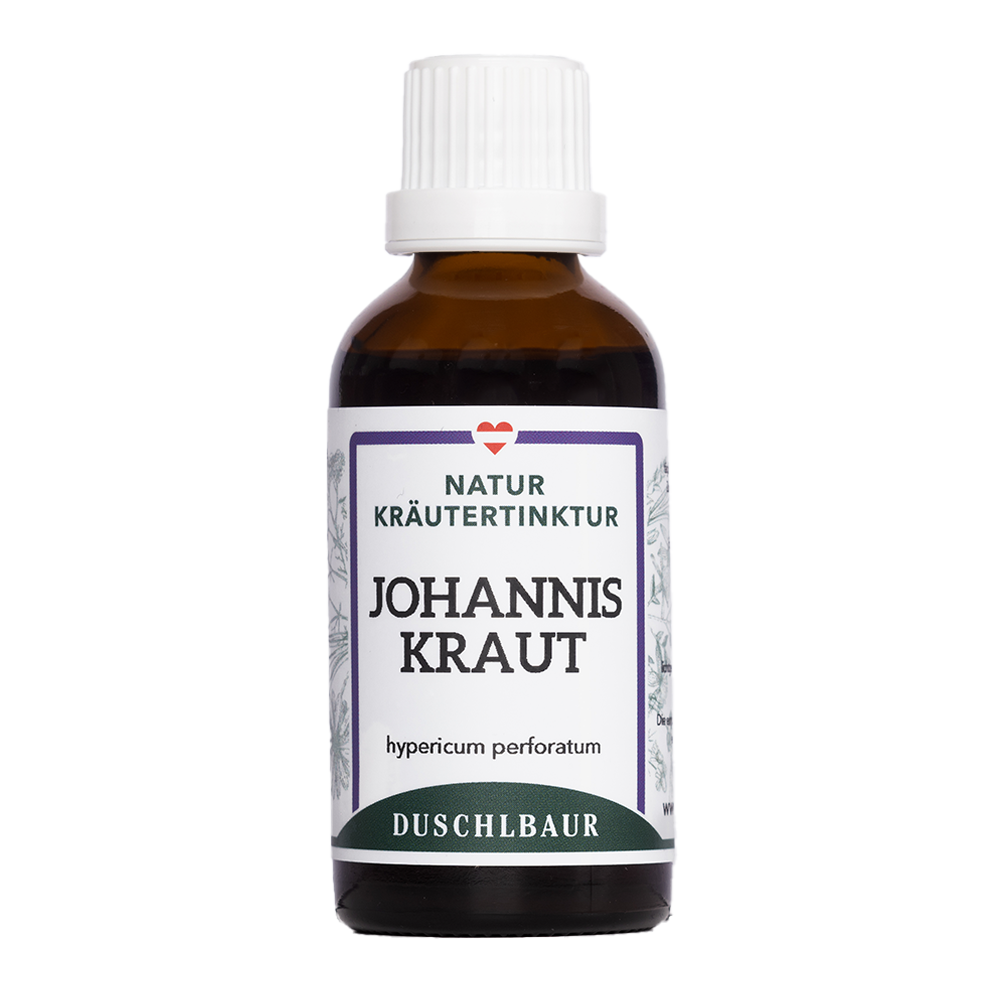 Blühendes Johanniskraut (Hypericum perforatum) mit gelben Blüten auf einer sonnigen Wiese neben einer Flasche Johanniskraut Tinktur