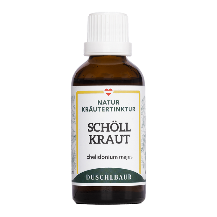 Blühendes Schöllkraut mit gelben Blüten am Wegrand, daneben die Schöllkraut Tinktur von naturessenzen.com
