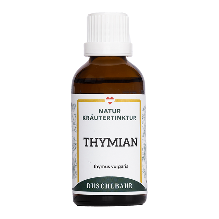 Blühender Thymian (Thymus vulgaris) neben der Thymian Tinktur von Kräutertinkturen Duschlbaur