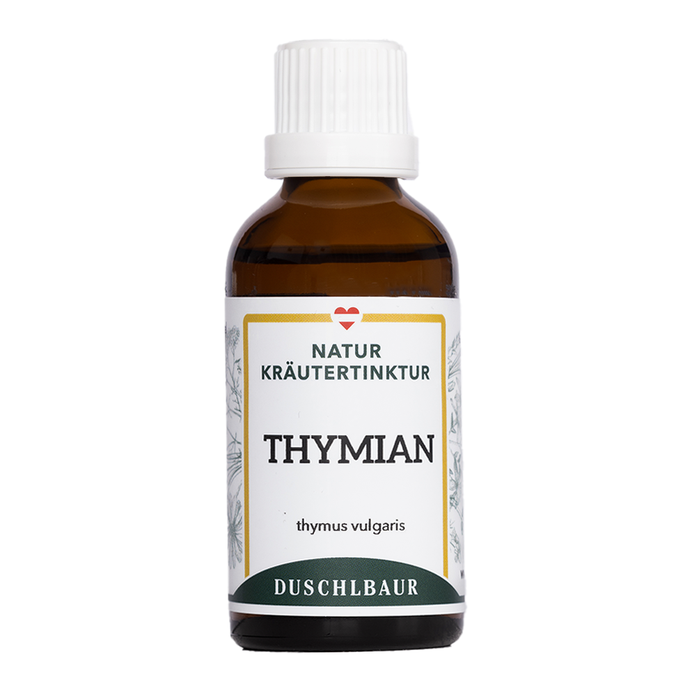 Blühender Thymian (Thymus vulgaris) neben der Thymian Tinktur von Kräutertinkturen Duschlbaur
