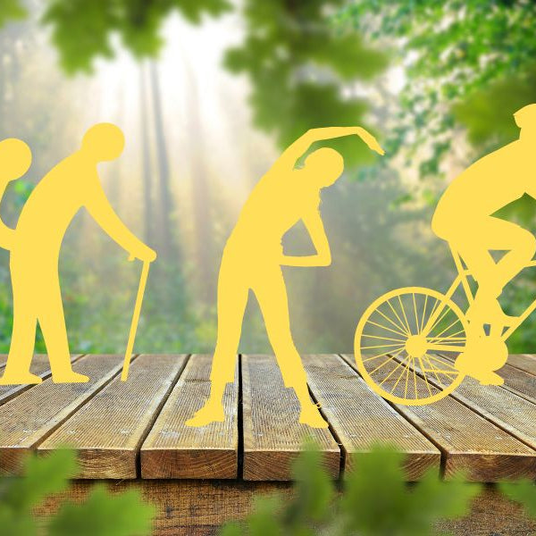 In Bewegung – ein paar Fakten zu unserem Knochengerüst!