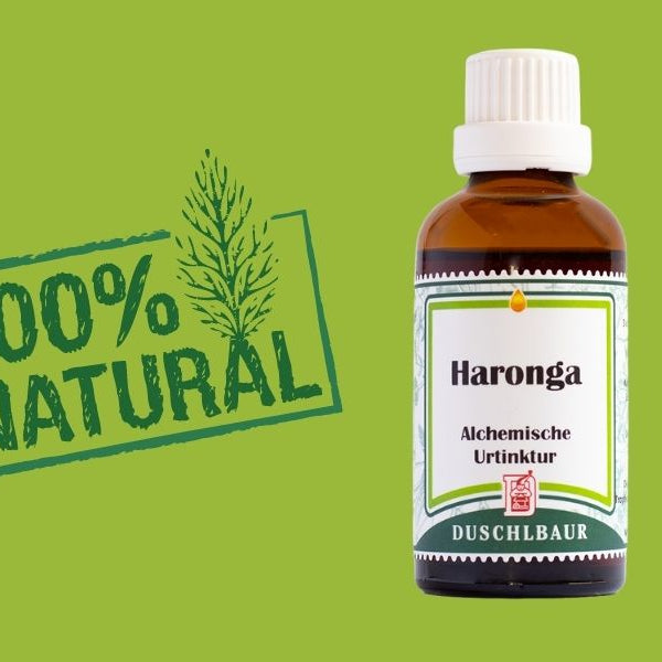Haronga – Pflanze für Ihre Bauchspeicheldrüse!