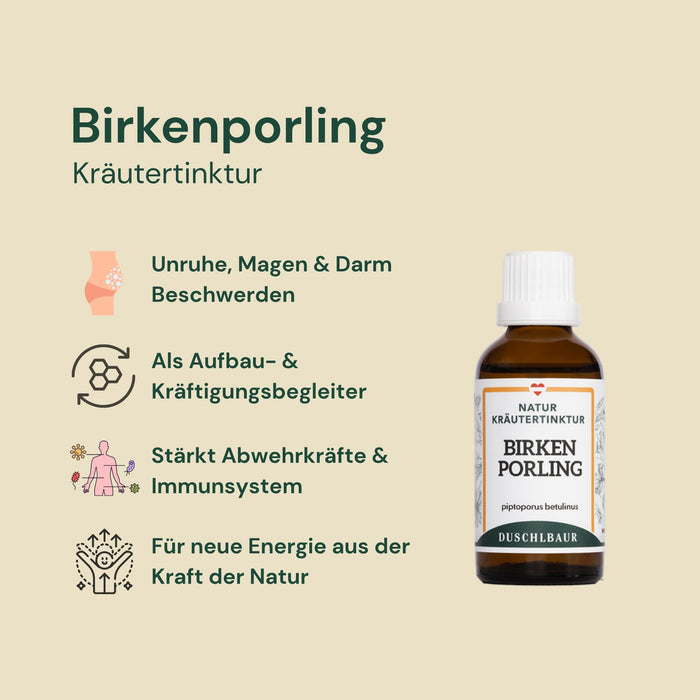 Birkenporling tincture - piptoporus betulinus