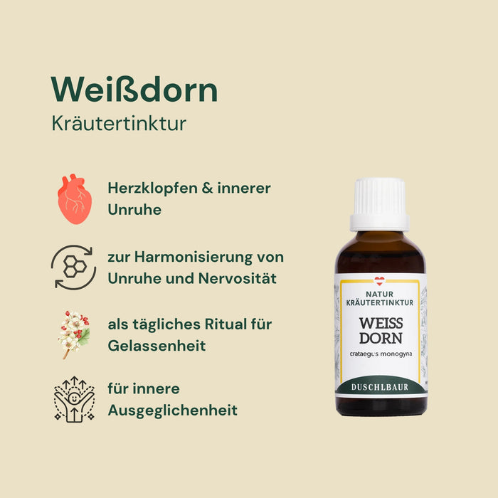 Hawthorn tincture - crataegus monogyna