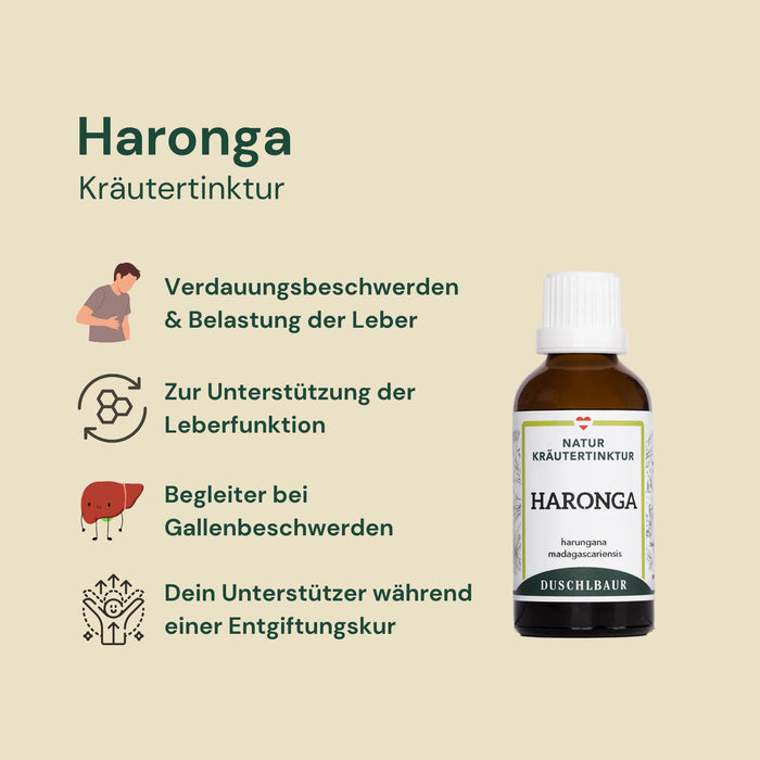 Haronga tincture - harungana madagascariensis