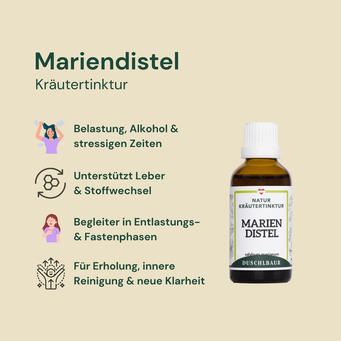 Milk thistle tincture - silybum marianum