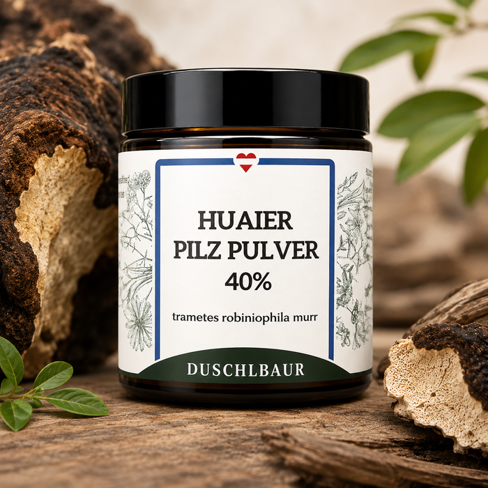 Huaier Pilz Pulver Extrakt 40 % Polysaccharide - trametes robiniophila murr