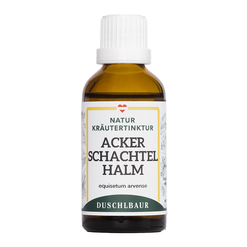 Ackerschachtelhalm Tinktur - Zinnkraut - equisetum arvense