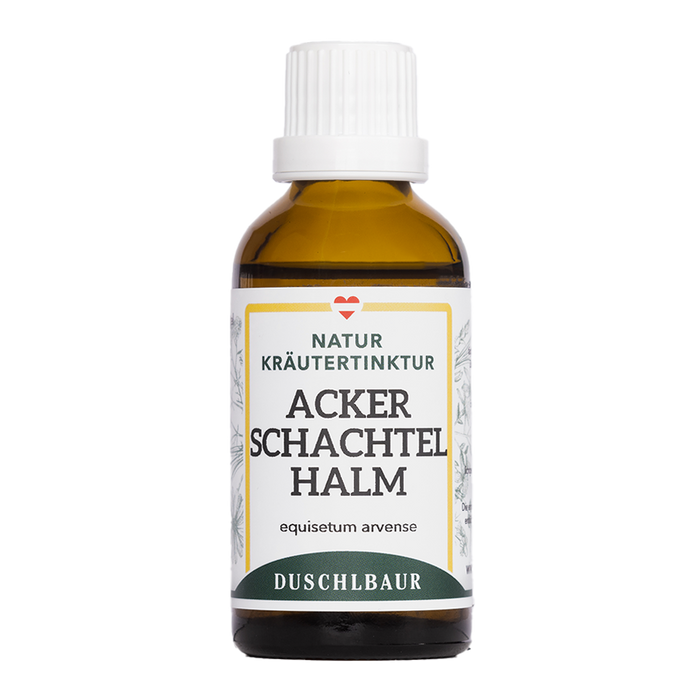 Ackerschachtelhalm Tinktur - Zinnkraut - equisetum arvense