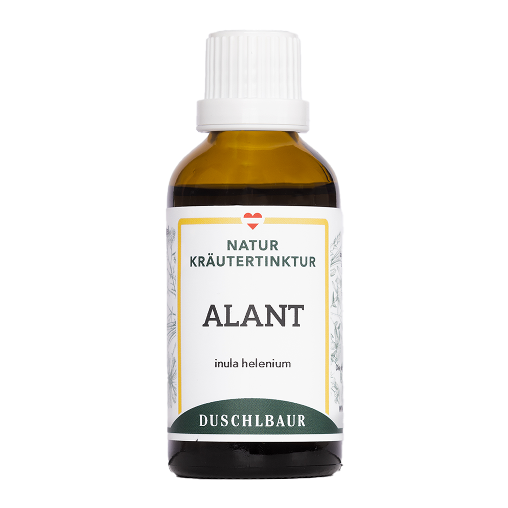 Alant Tinktur - inula helenium