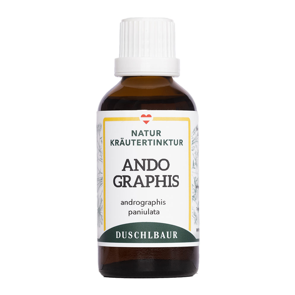 Andrographis - Kalmegh Tinktur - andrographis paniulata