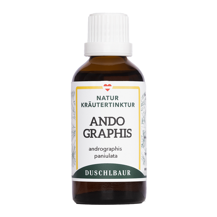 Andrographis - Kalmegh Tinktur - andrographis paniulata