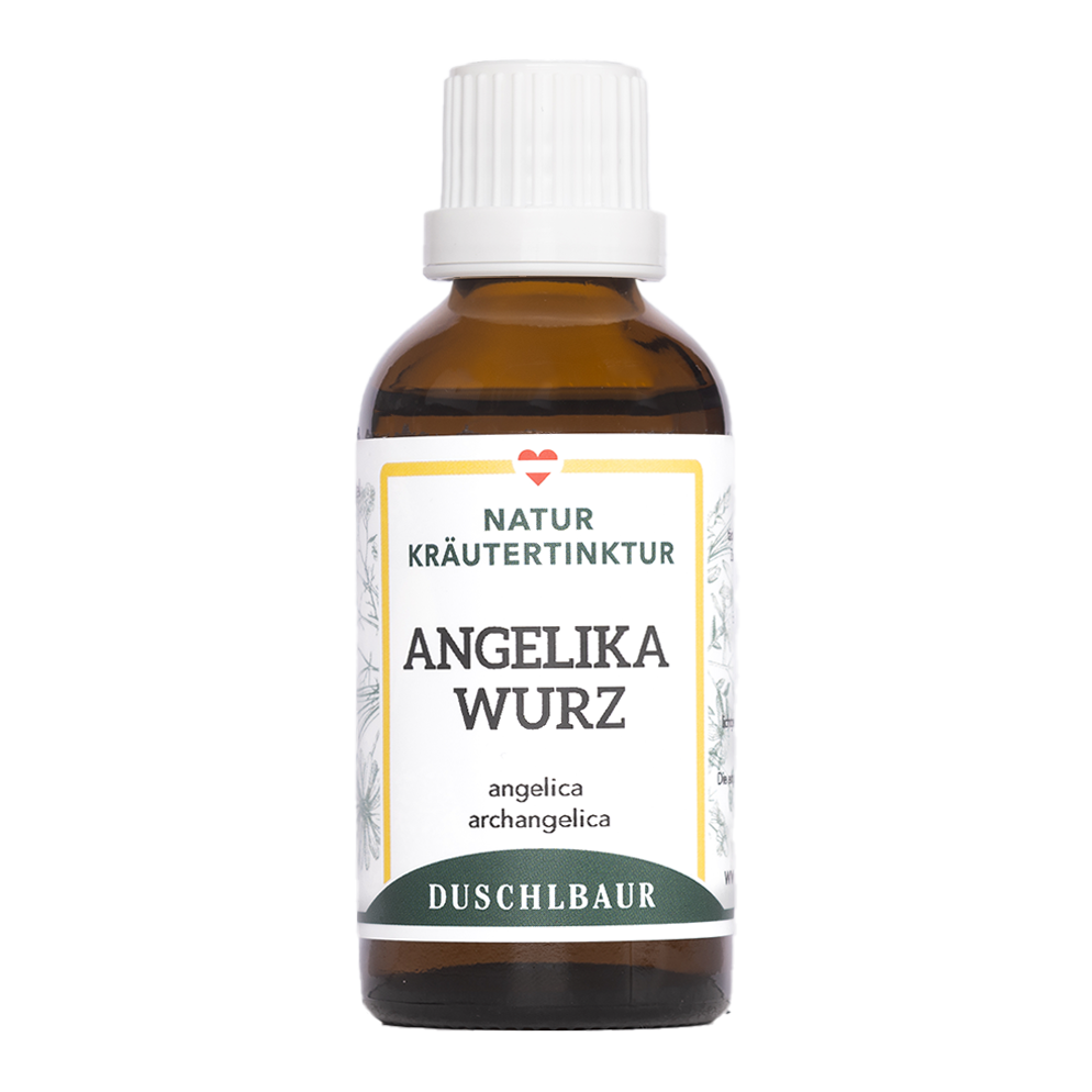 Angelikawurzel Tinktur - angelica archangelica