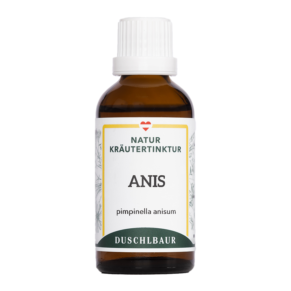 Anis Tinktur - pimpinella anisum