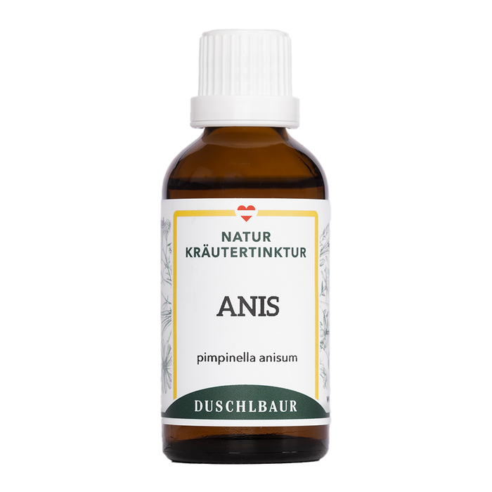 Anis Tinktur - pimpinella anisum