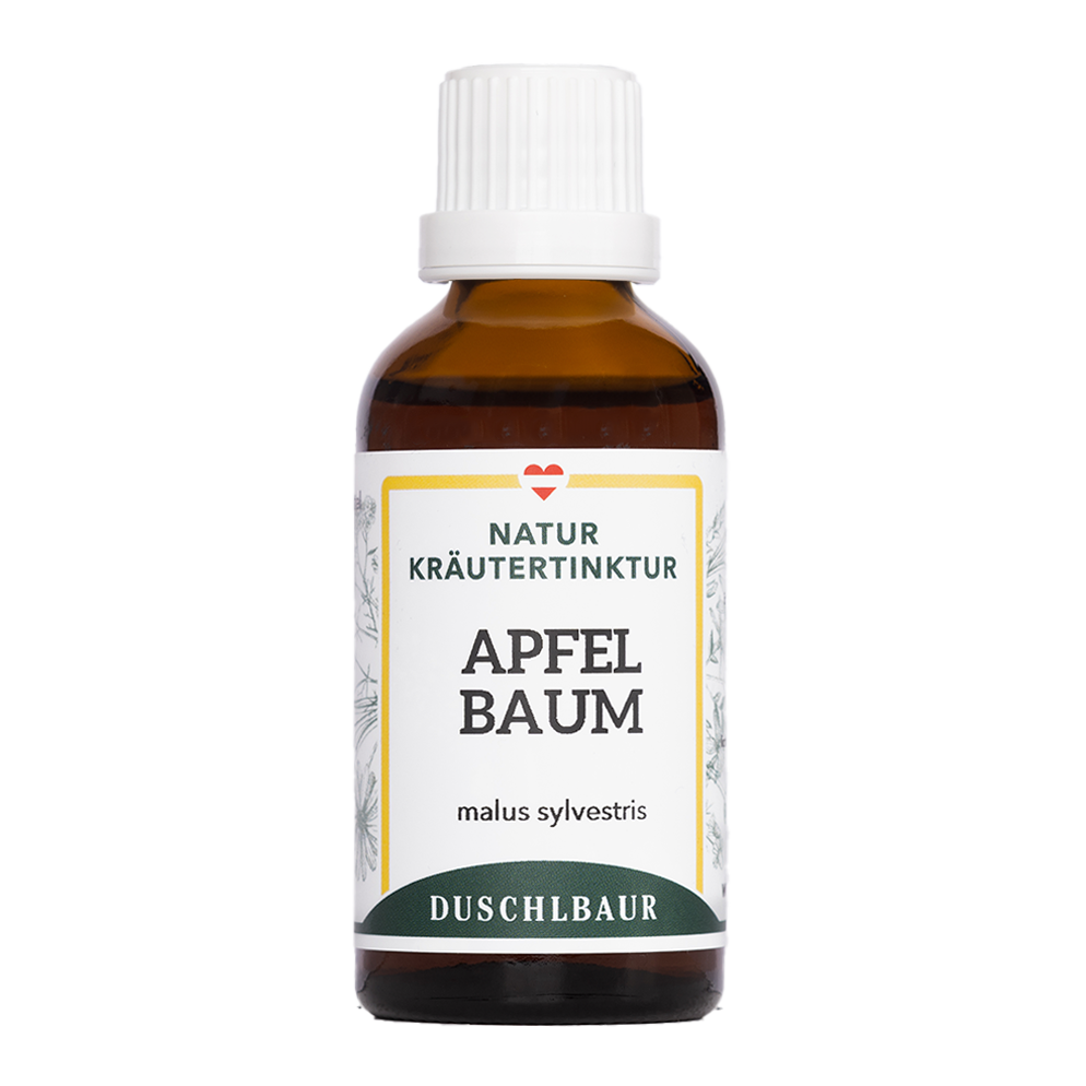 Apfelbaum Tinktur- malus sylverstris