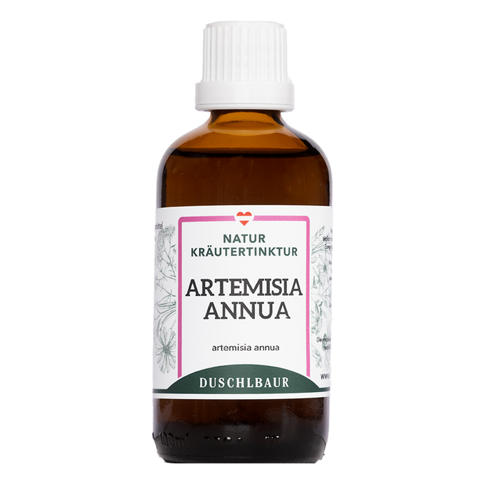 Artemisia annua Tropfen - einjähriger Beifuß