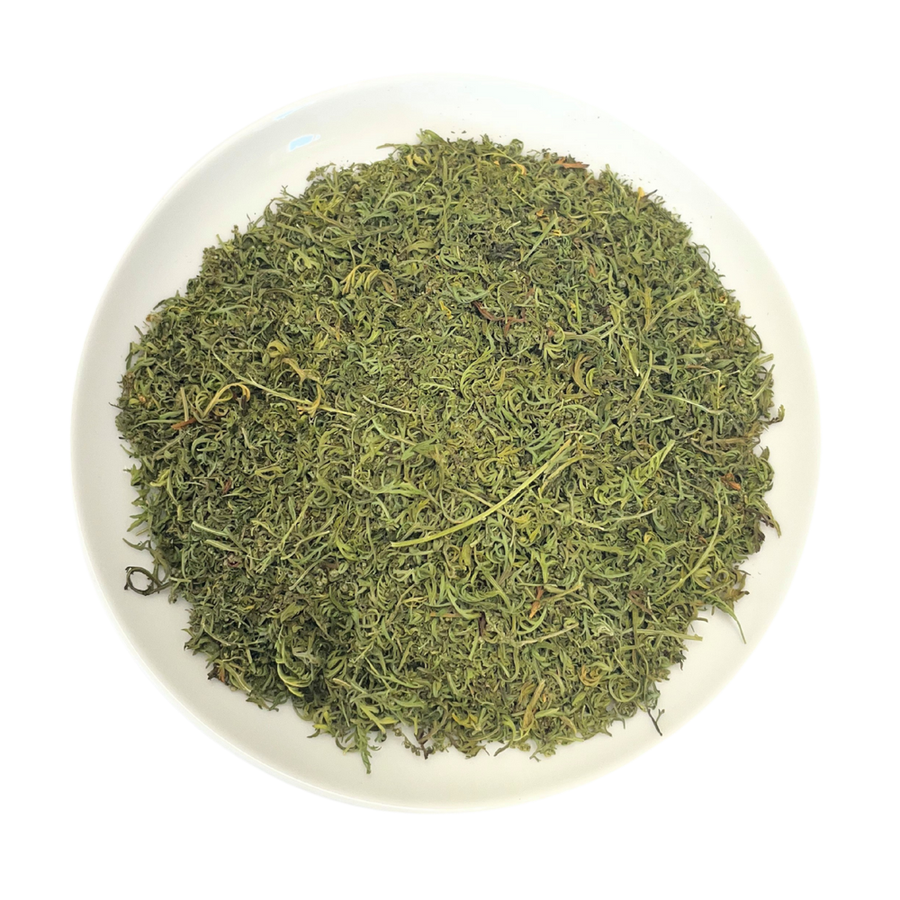 Artemisia annua drops - annual mugwort 