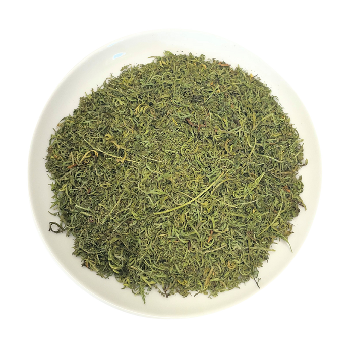 Artemisia annua drops - annual mugwort 