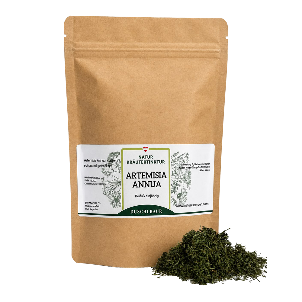 Artemisia annua drops - annual mugwort 