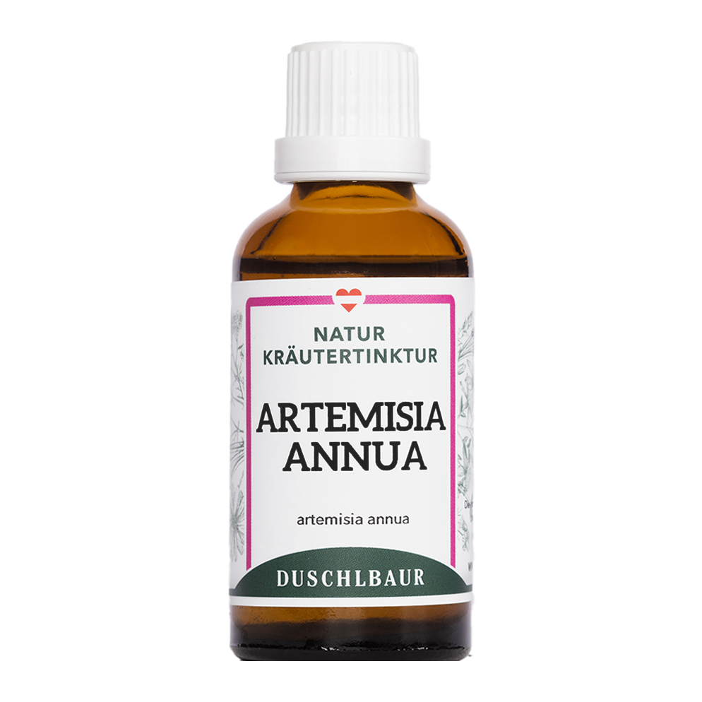 Artemisia annua Tinktur - einjähriger Beifuß Tropfen