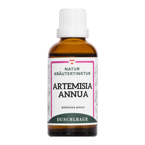 Artemisia annua Tinktur - einjähriger Beifuß Tropfen