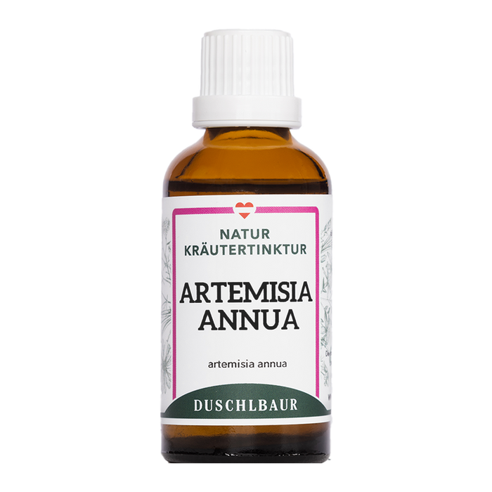 Artemisia annua drops - annual mugwort 