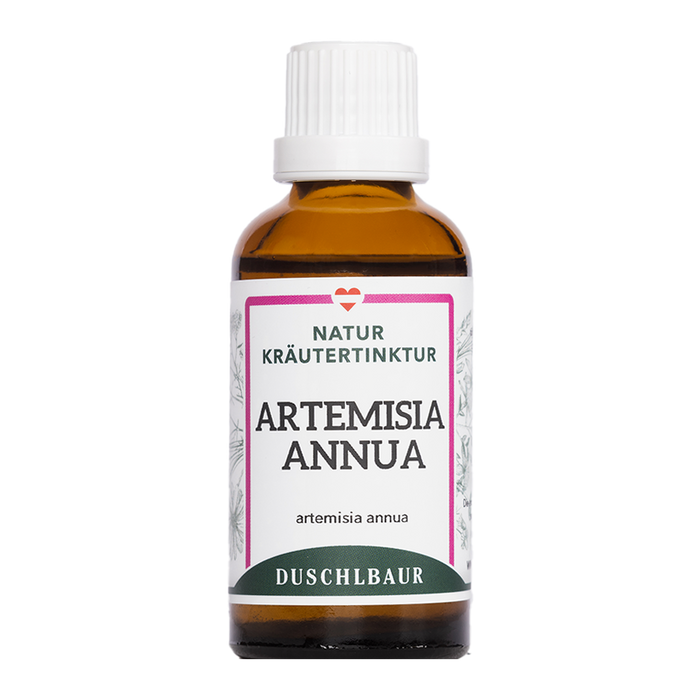 Artemisia annua Tropfen - einjähriger Beifuß