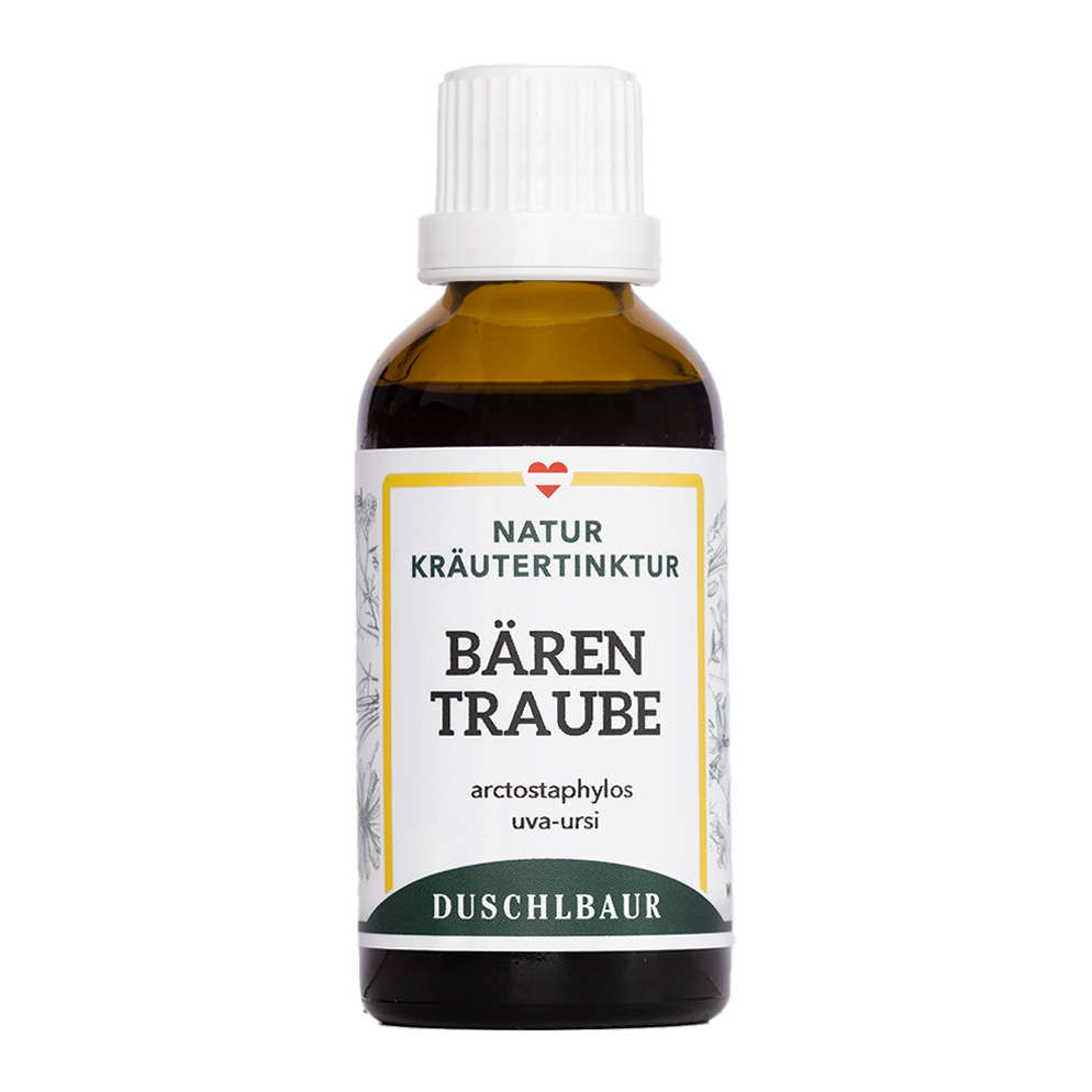 Bärentraube Tinktur - arctostaphylos uva ursi