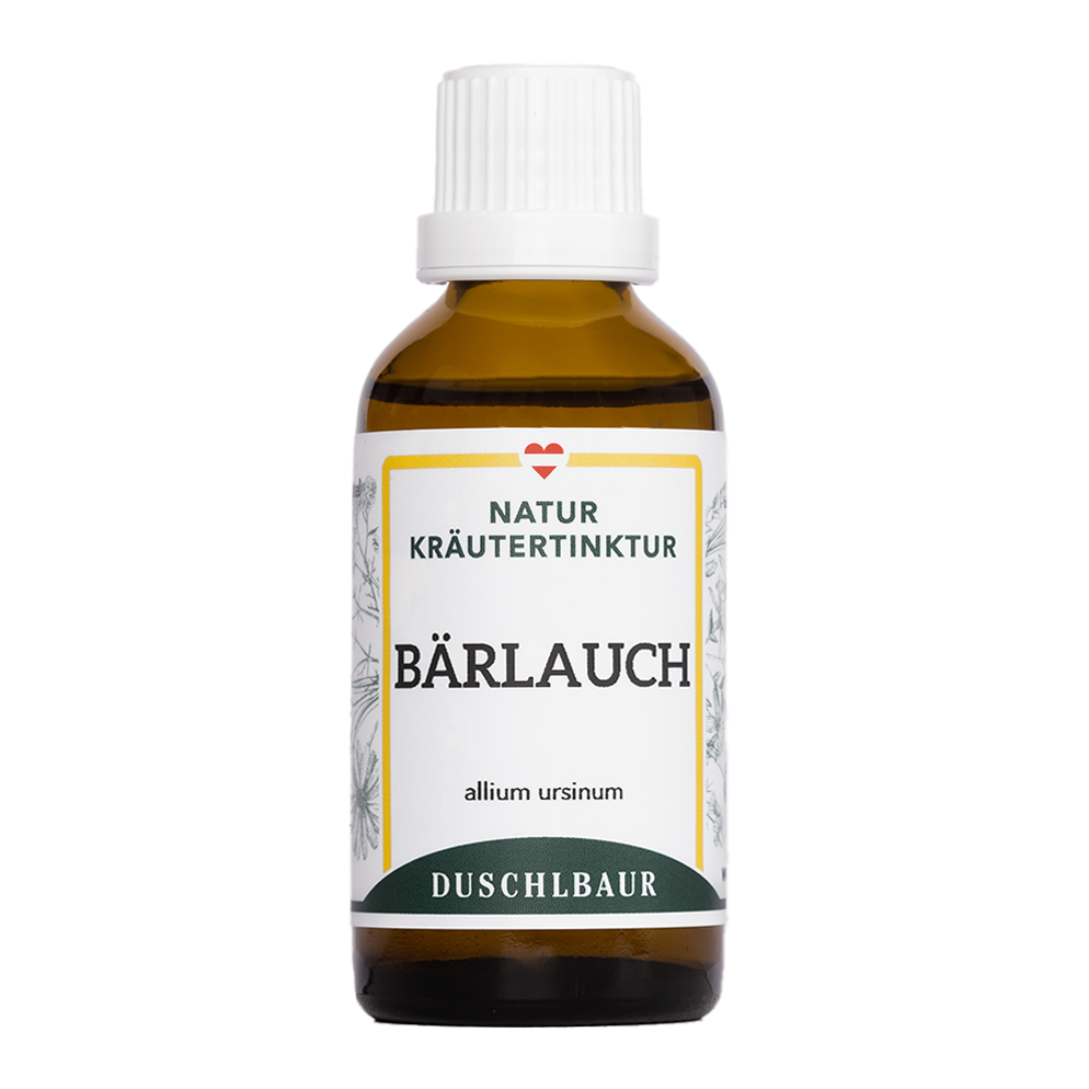 Bärlauch Tinktur - allium ursinum