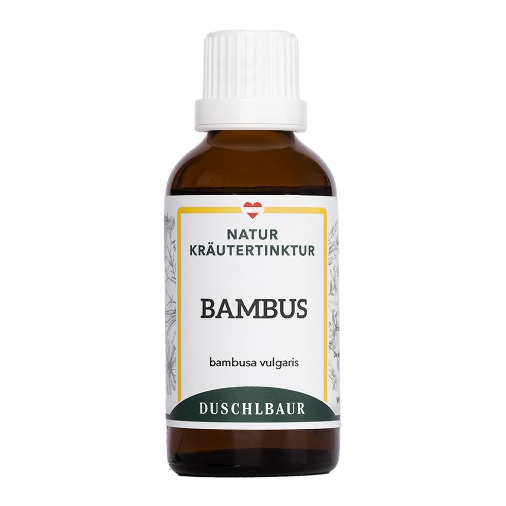 Bambus Tinktur - bambusa vulgaris
