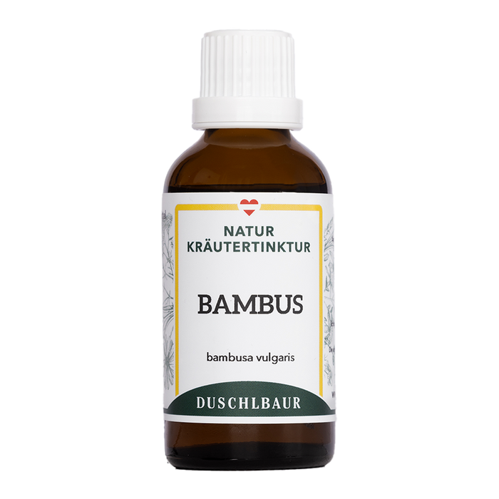 Bambus Tinktur - bambusa vulgaris