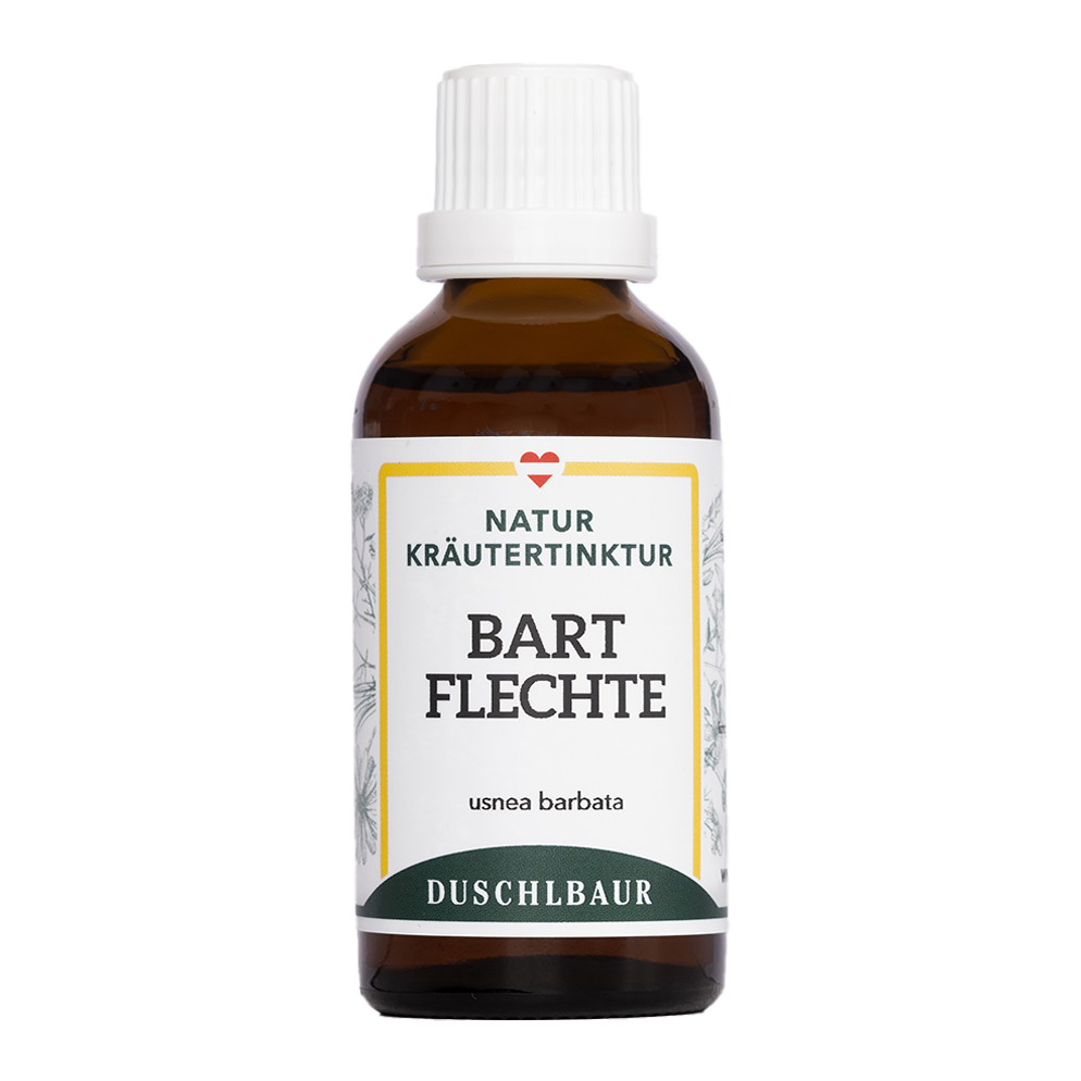 Bartflechte Tinktur - usnea barbata