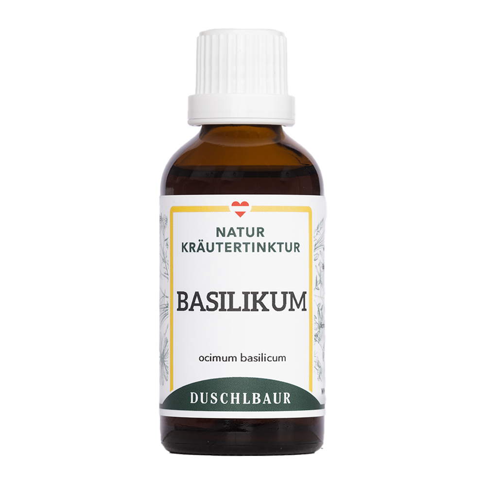 Basilikum Tinktur - ocimum basilicum
