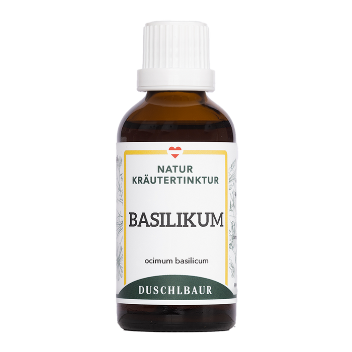 Basilikum Tinktur - ocimum basilicum